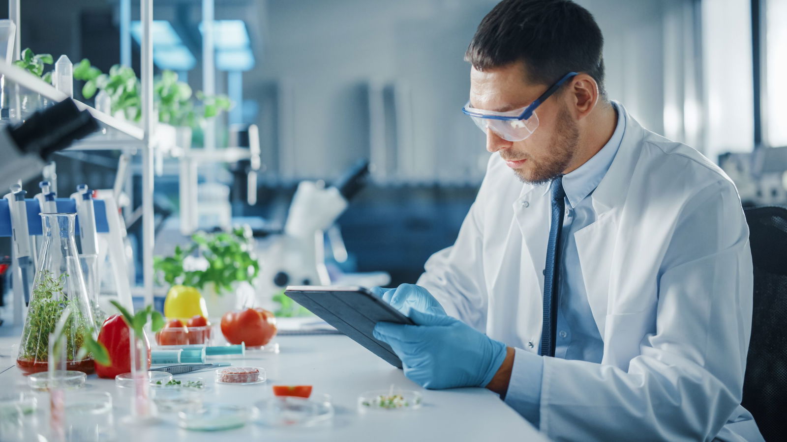 Modern Plant Based FoodsAktie Kim Kardashian als Werbegesicht? Finanztrends