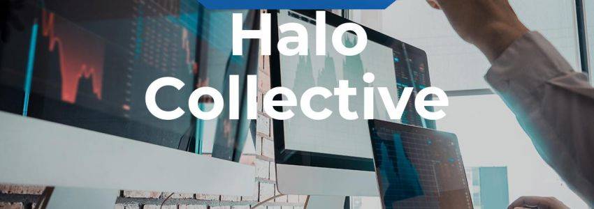 Halo Collective Aktie: Augen auf!