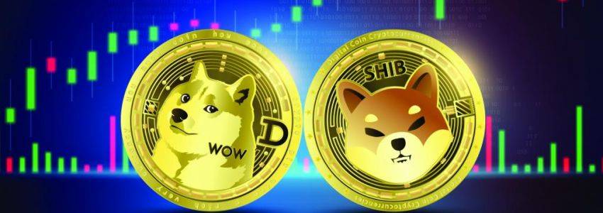 Shiba Inu: Dogecoin und Shiba Inu Netzwerk Aktivität erreicht 7-Wochen-Hoch!