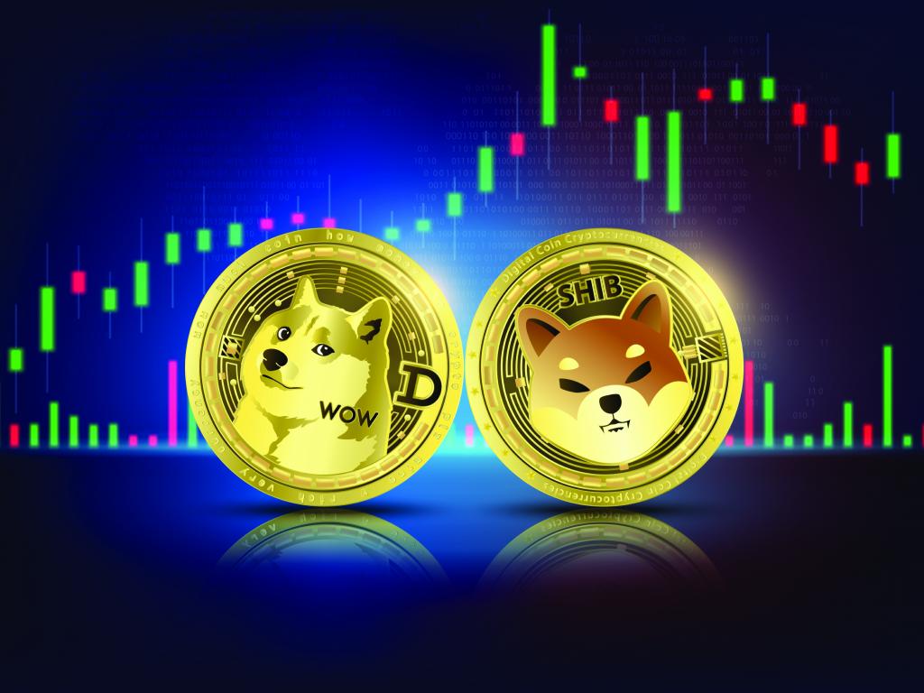 Was ist die Kryptowährung Shiba Inu?