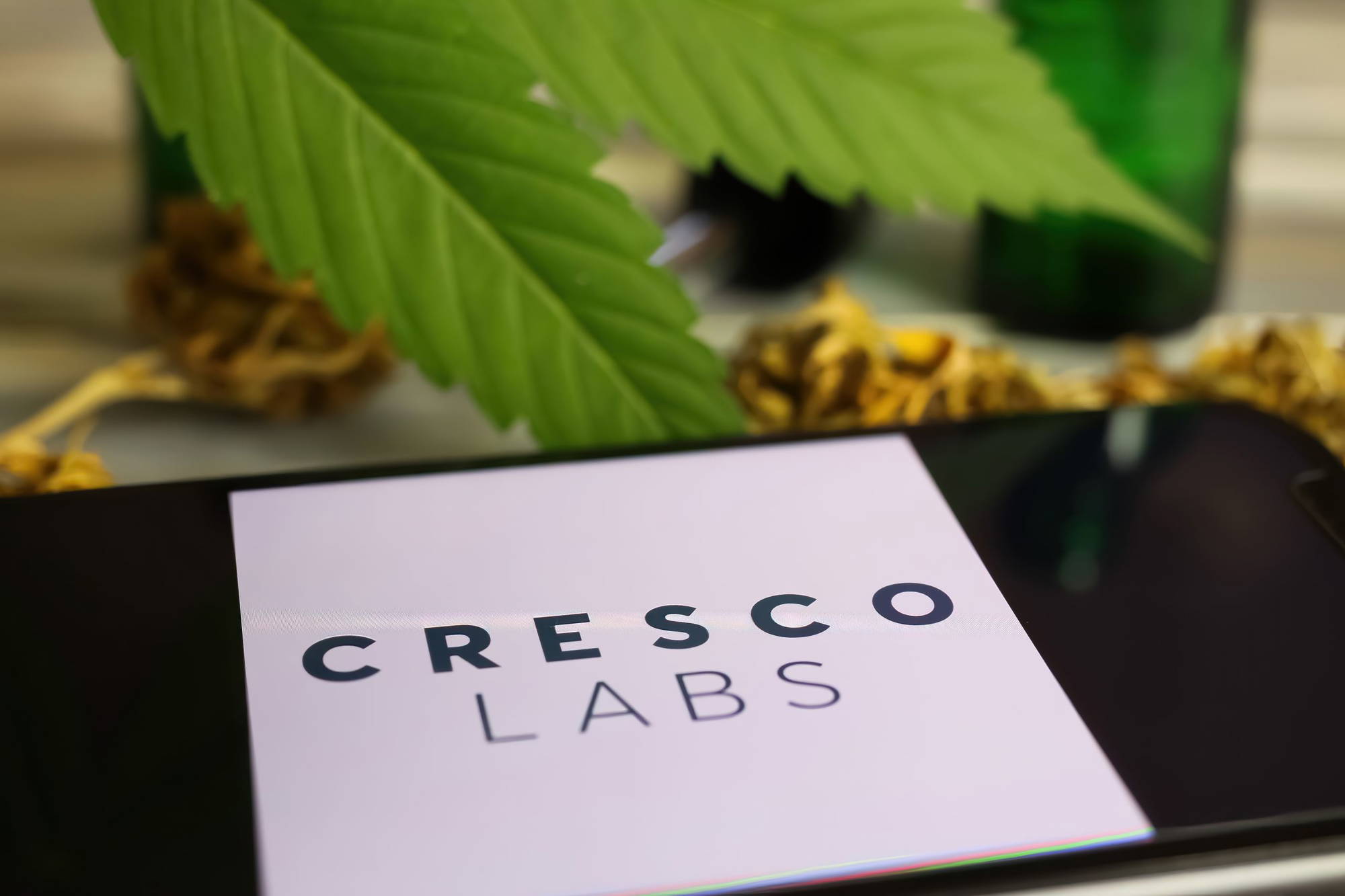 Cresco Labs: Der größte Cannabis-Konzern in den USA! - Finanztrends