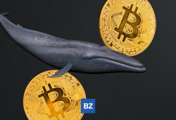 Bitcoin Whale verschiebt 1.001 BTC von Gemini