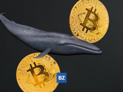 Bitcoin Whale verschiebt 3.138 BTC von Coinbase