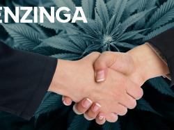 Cannabis-ETF setzt mutig auf Legalisierung und kehrt seine Haltung zu US-Marihuana-Vermögenswerten um