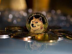 Dogecoin reagiert auf CPI-Daten, wird aber nicht von Prominenten gelobt: Was ist los mit der Kryptowährung?