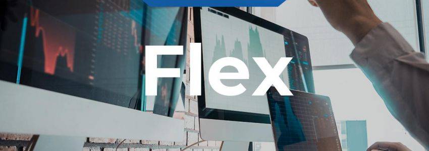 Flex Aktie: Anleger voll des Lobes?