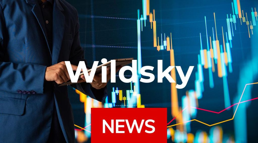 Wildsky News: Aktie jetzt kaufen?