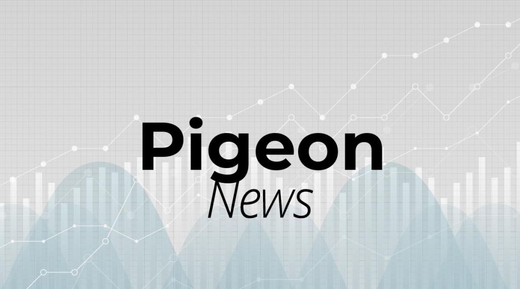 Pigeon News: Aktie jetzt kaufen?