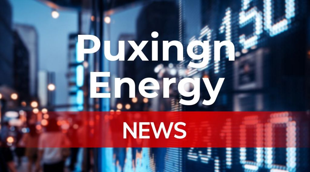 Puxingn Energy News: Aktie jetzt kaufen?