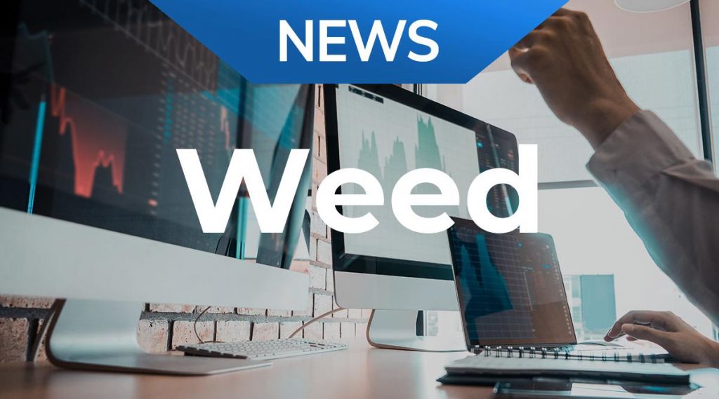 Weed News: Aktie jetzt kaufen?