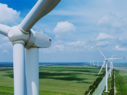 Xinjiang Goldwind verzeichnete im letzten Quartal eine Flaute bei reifender Windkraft