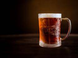 SweetWater Brewing Company von Tilray stellt neues Herbst-Craft-Bier-Sortiment vor