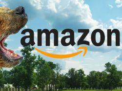 Amazon-Aktie: Erneute Fragen!