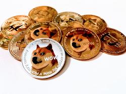 Dogecoin: Was ist hier los?