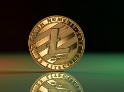 Bitcoin, Dogecoin oder Litecoin: Wer wird im Kampf um schnelle und kostengünstige Zahlungen die Oberhand gewinnen?