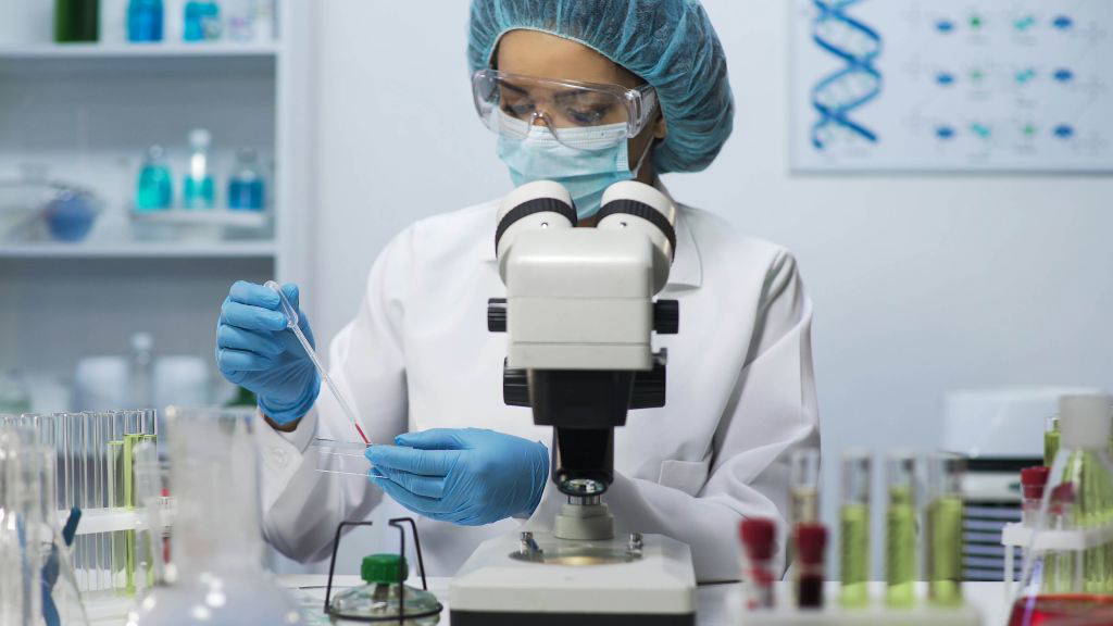 Carl Zeiss Meditec Aktie, Sap Aktie und Evotec Aktie: Aktuelle Trendsignale aus dem TecDAX – generiert durch künstliche Intelligenz