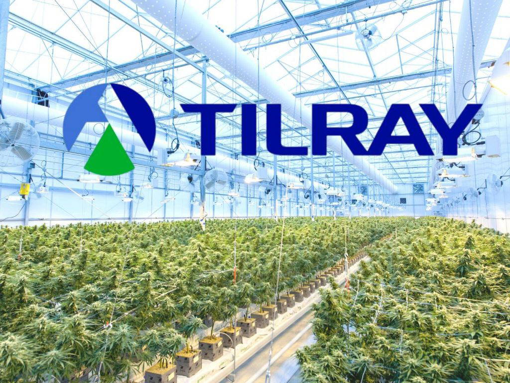 Tilray-Aktie: Highflyer noch vor Weihnachten!