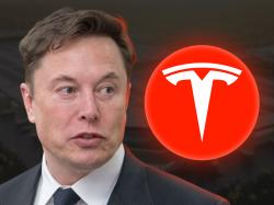 Tesla-Aktie: Fluch oder Segen?
