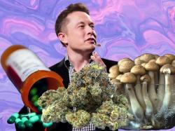 Tesla-Aktie: Musk über Drogenverbot- Verbot nicht der richtige Weg! Tesla-Aktie: Musk über Drogenverbot- Verbot nicht der richtige Weg!