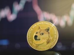 Dogecoin: Dogecoin stellt Bitcoin in den Schatten!