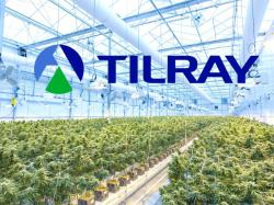 Tilray-Aktie: Das Cannabis-Wunder!