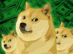 Dogecoin: Von Scherz zu Milliarden-Dollar-Währung!