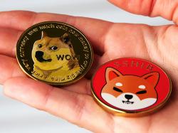 Shiba Inu: Kryptowährungen feiern Musks Hunde-Post!