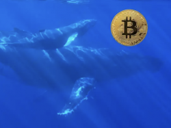 Bitcoin:  Millionentransfer von Bitcoin-Wal lässt Markt zittern!