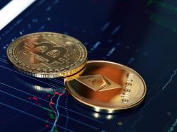 Bitcoin: Kryptokampf, Bitcoin gegen Dogecoin!