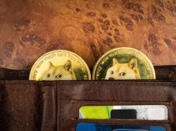 Dogecoin: 23.000% Zuwachs!