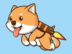 Baby Doge: Rasanter Anstieg!