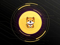 Baby Doge: Dogecoin und Shiba Inu überholt!