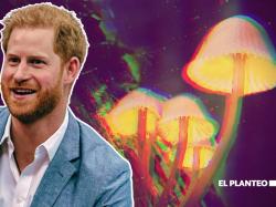 Zoom-Aktie: Prinz Harry spricht offen über Marihuana-Konsum!
