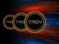 Troy: Der Gewinner am Kryptomarkt!