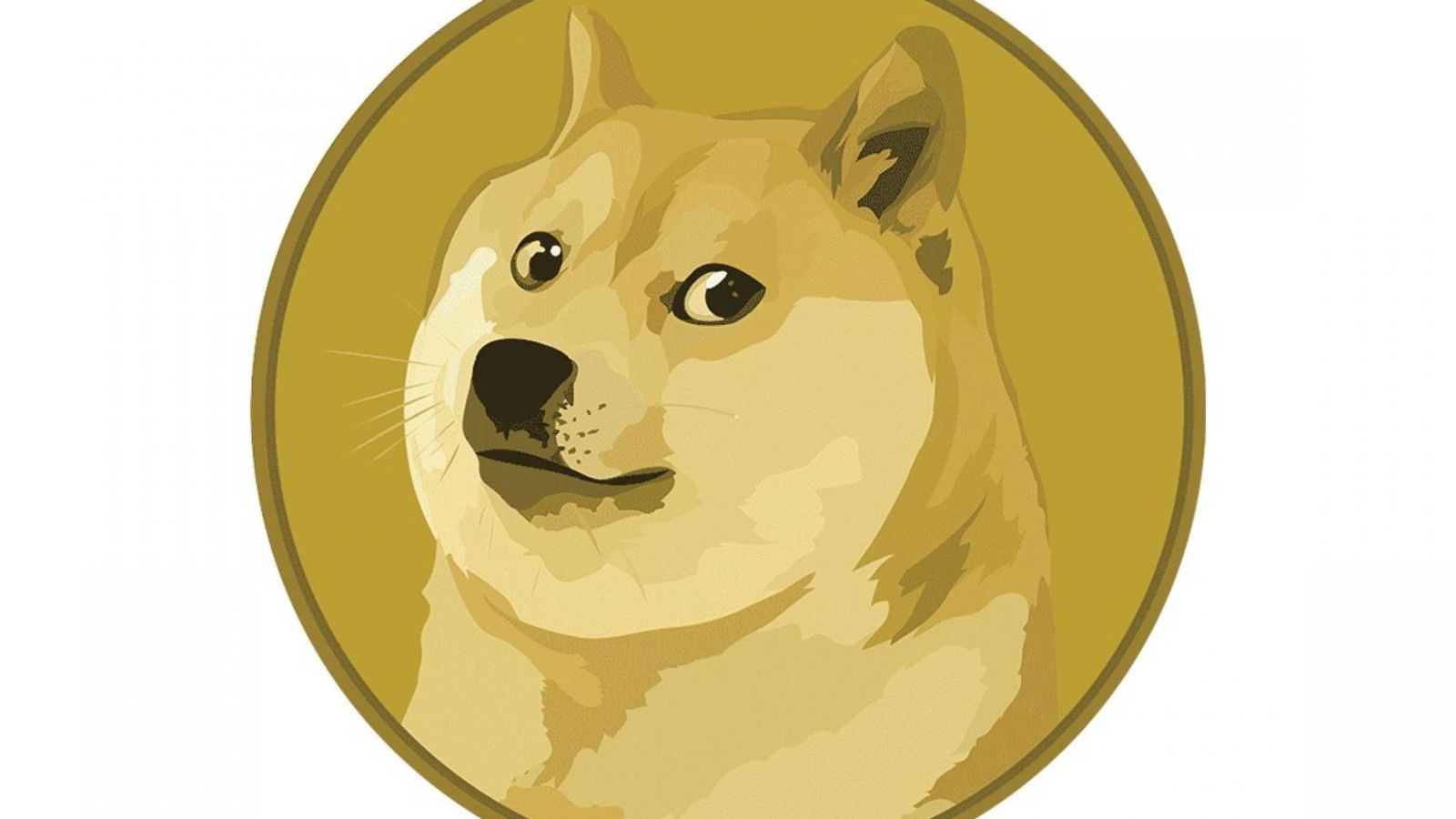 Dogecoin: Vom Scherz zum Millionärstraum! - Finanztrends