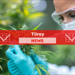 Tilray-Aktie: Sollten Sie jetzt kaufen?