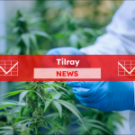 Ein Wissenschaftler nimmt Cannabisblätter zur Untersuchung im Labor, mit einem Tilray NEWS Banner.