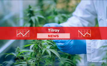 Ein Wissenschaftler nimmt Cannabisblätter zur Untersuchung im Labor, mit einem Tilray NEWS Banner.