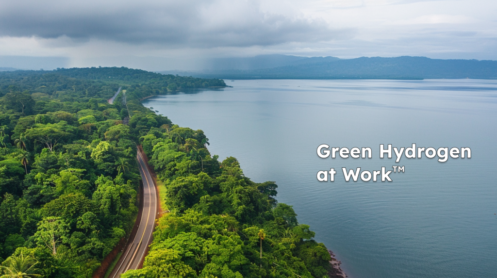 Plug Power-Aktie: Bringt der Mittwoch die Wende? eine Luftaufnahme einer Straße, die durch einen dichten grünen Wald neben einem Gewässer verläuft