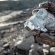 Wird Lithium das neue Öl? Studie zeigt brisante Marktlage
