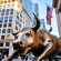 Wall Street mit Rückenwind: Dow & S&P steigen sechsten Tag in Folge