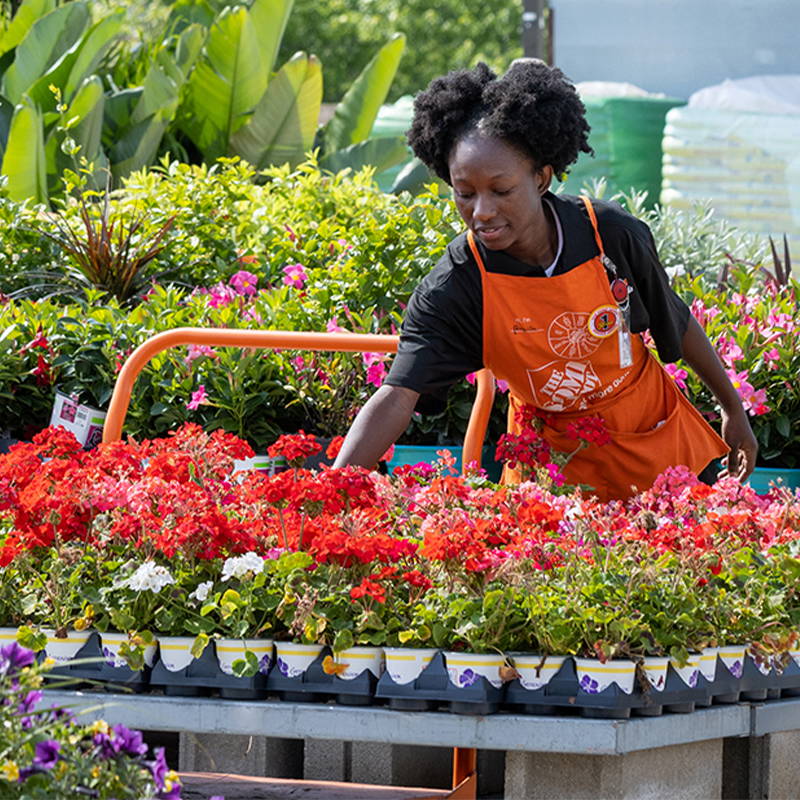 Mitarbeiterin von Home Depot mit orangefarbener Schürze ordnet blühende Pflanzen auf einem Verkaufswagen im Außenbereich eines Gartencenters.