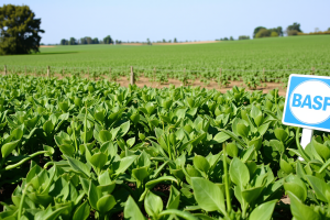 BASF-Aktie: Wachstums-Explosion!