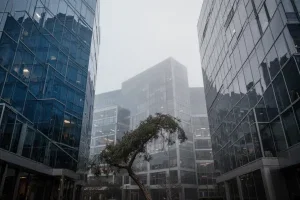 Oracle -Aktie: Rücksetzer nach Rally – W-Formation lässt hoffen!