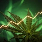 Canopy Growth Aktie: 74,3 Millionen CAD erwartet