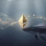 Ethereum: Wale kaufen, ETFs bluten