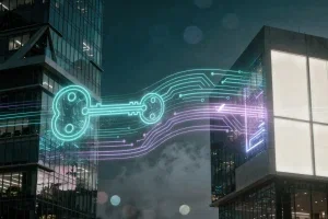 Metaplanet Aktie: Project Nova mit Siiibo