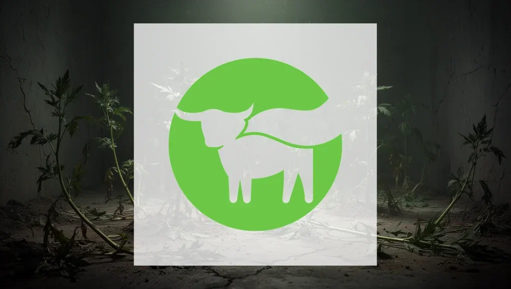 Beyond Meat Aktie: Umsatz um 15 Prozent eingebrochen Beyond Meat Aktie - Beitragsbild