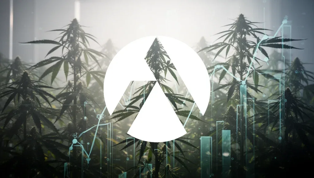 Tilray Aktie: Q3-Umsatz auf 206,7 Millionen Dollar Tilray Aktie - Beitragsbild