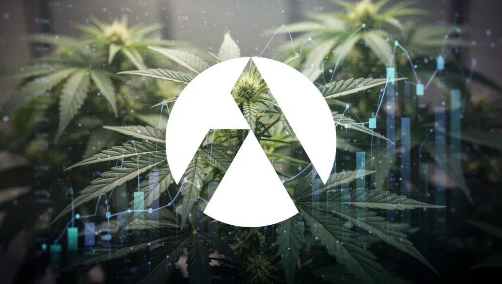 Tilray Aktie: Bilanz am 28. Juli Tilray Aktie - Beitragsbild